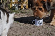 DSC_0779.JPG