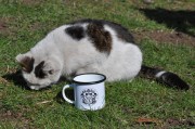 DSC_0835.JPG